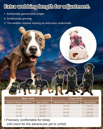 Vista 5 de PETNANNY Arnés táctico para perros