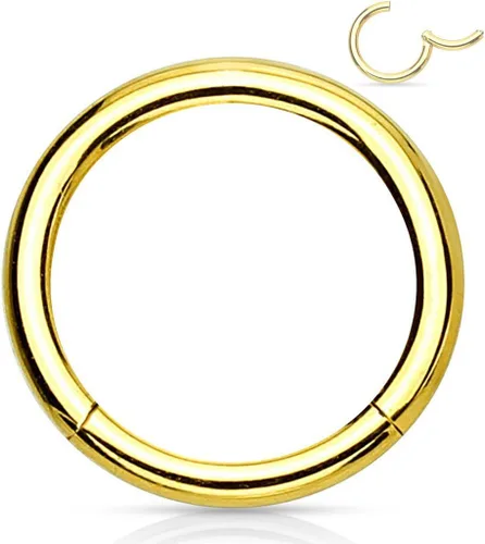 Vista 35 de Forbidden Body Jewelry - Piercing para la nariz de acero quirúrgico 316L con bisagra, 14G, 16G, 18G, diámetro de 15/64, 5/16, 25/64, 15/32 pulgadas