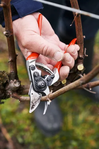 Vista 3 de Felco F 14 Tijeras de podar – Cortadoras de jardín de 7.1 pulgadas para manos pequeñas con hojas bypass y yunque Podadoras de mano para jardinería