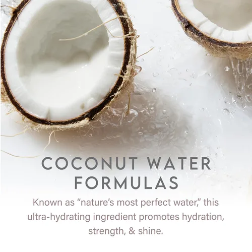 Vista 6 de ALURAM Acondicionador diario de agua de coco para hombres y mujeres, hidratación limpia y brillo para todo tipo de cabello, 12 onzas líquidas