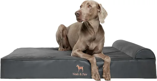 Vista 35 de NOAH & PAW Cama pequeña para perros, 20 x 15 x 6.5 pulgadas, cama para gatos de interior, espuma viscoelástica ortopédica de cáscara de huevo Verde