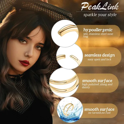 Vista 8 de PEAKLINK 316L Anillo Clicker de Segmento con Bisagra Sin Costuras Aro para Nariz Septum Hélix Conch Joyería de Piercing 5PCS Aretes de Aro Daith