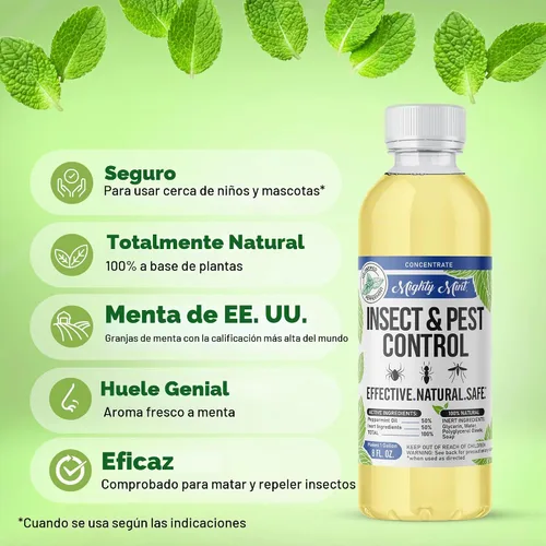 Vista 4 de Mighty Mint Concentrado repelente de insectos de aceite de menta – Control natural de insectos en interiores y exteriores para arañas, hormigas