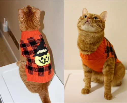 Vista 6 de Ropa para mascotas Suéter de perro con calabaza de Halloween, ropa de punto, ropa para perros, sudadera para mascotas Halloween-03