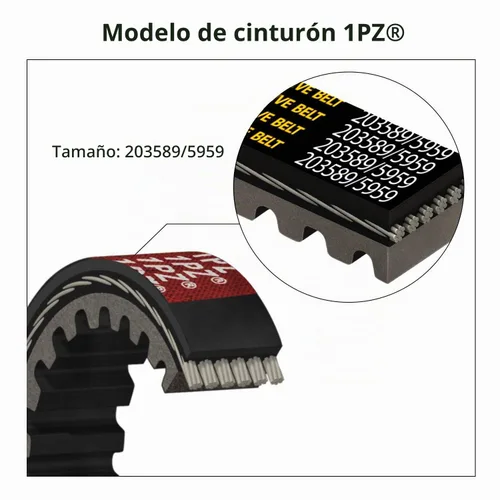 Vista 5 de 1PZ DB1-P30 Serie 30 Go Kart Correa de transmisión para reemplazar Manco 5959 / Comet 203589 (paquete de 3)