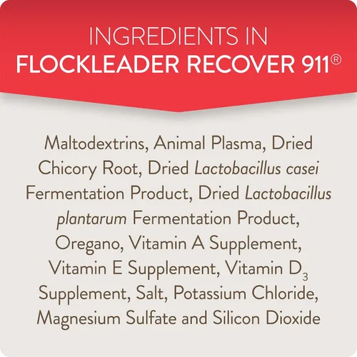 Vista 6 de FlockLeader Recover 911, Suplemento de Agua Probiótico para Estrés Severo para Pollos con Electrolitos, Prebióticos y Orégano, para la Muda, Clima