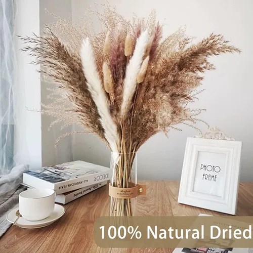 Vista 5 de DomeStar 130 piezas de hierba seca de las pampas a granel, decoración de otoño, hierba de cola de conejo natural de 18 pulgadas, ramo rústico