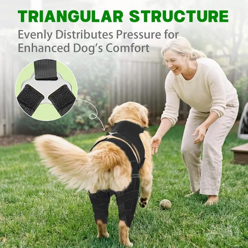 Vista 5 de Rodillera de perro para pierna trasera, soporte ajustable para piernas de perro con 4 estabilizadores, soporte de cadera para reducir el dolor