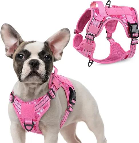 Vista 32 de rabbitgoo Arnés táctico para perros pequeños, chaleco de servicio militar sin tirones con asa y Molle, de fácil control para entrenar y caminar