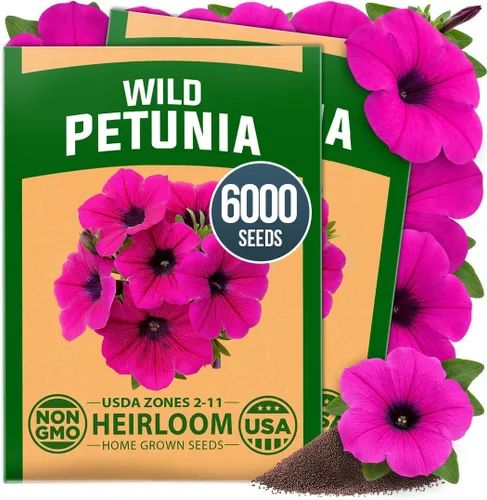 Vista 82 de HOME GROWN Semillas de Hollyhock de doble mezcla de Chater, 200 semillas