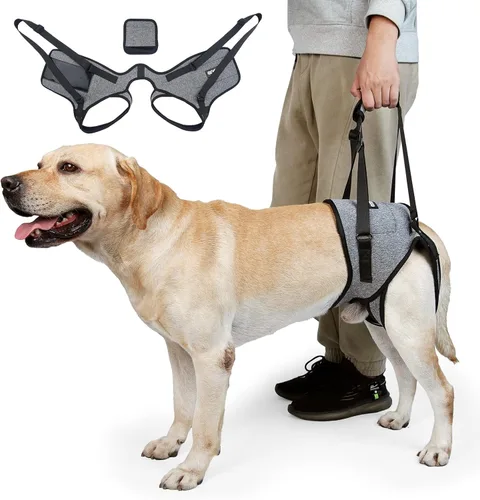 Vista 7 de Arnés de elevación para perros CNEO - Soporte ajustable para perros medianos y grandes, diseño cómodo con patas traseras acolchadas para perros
