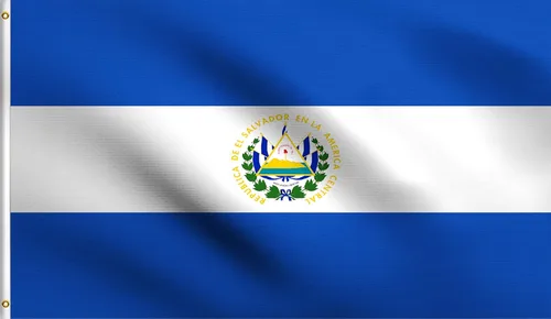 Vista 7 de DMSE - Bandera nacional beninesa beninesa de la República de África Occidental, 2 x 3 pies, 100 % poliéster, 100 % poliéster, resistente a los rayos