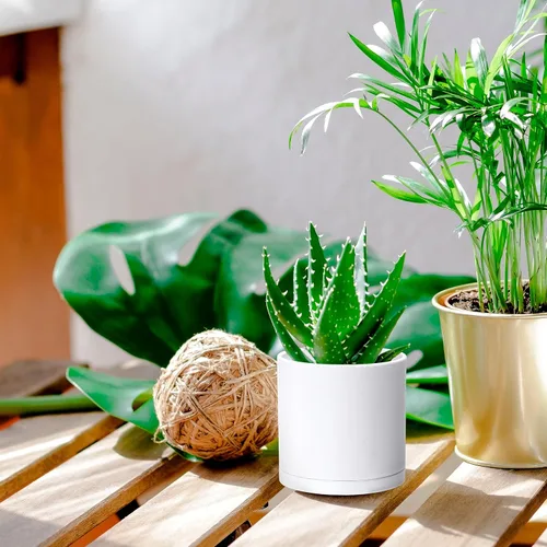 Vista 7 de D'vine Dev - Paquete de 2 macetas de plástico modernas de 4 pulgadas, pequeñas macetas de jardín para plantas con orificios de drenaje y platillos