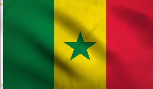 Vista 82 de DMSE - Bandera nacional beninesa beninesa de la República de África Occidental, 2 x 3 pies, 100 % poliéster, 100 % poliéster, resistente a los rayos