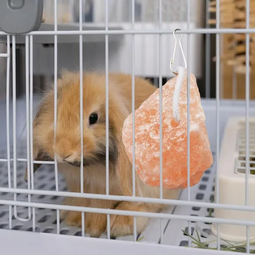 Vista 2 de PINVNBY Bloques de sal para conejos, 4 piezas de mascotas pequeñas del Himalaya lamen sal bloque de sal sales minerales naturales con gancho