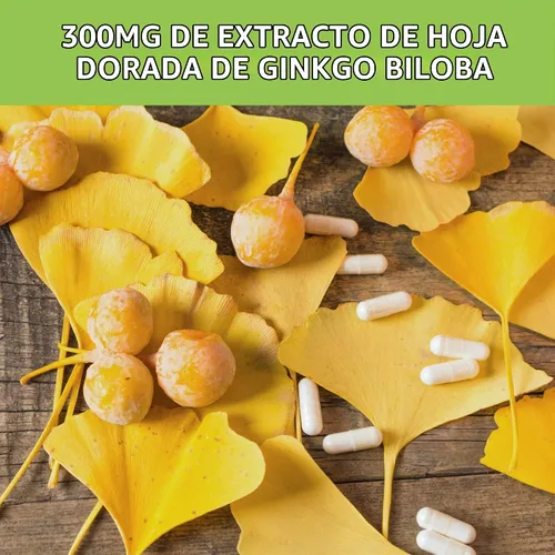 Vista 5 de Beljanski® Productos - Suplemento Dietético Ginkgo V® - Extracto de Ginkgo Biloba - 100 Cápsulas