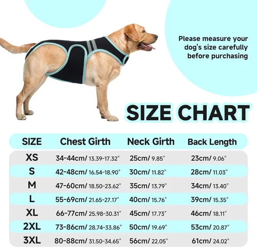 Vista 5 de IVDD - Soporte de espalda para perros, suave para la recuperación de cirugía Dog Back Protector Spine Support for Arthritis, Dogs Back Disease