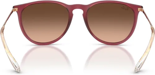 Vista 18 de Ray-Ban RB4171F Erika (F) - Gafas de sol