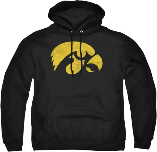 Vista 123 de Distressed College Primary Logo Adult Pullover Hoodie Collection 1 Universidad Estatal de Albany