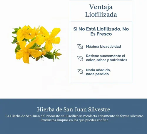 Vista 5 de Hierba ecléctica, cápsulas de hierba de San Juan, soporte del sistema nervioso, 120 CT Azul