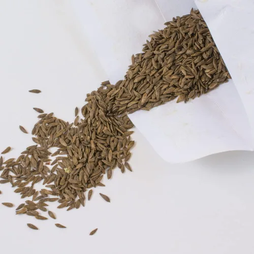 Vista 9 de Semillas de Lechuga (Buttercrunch) (2300 Semillas)