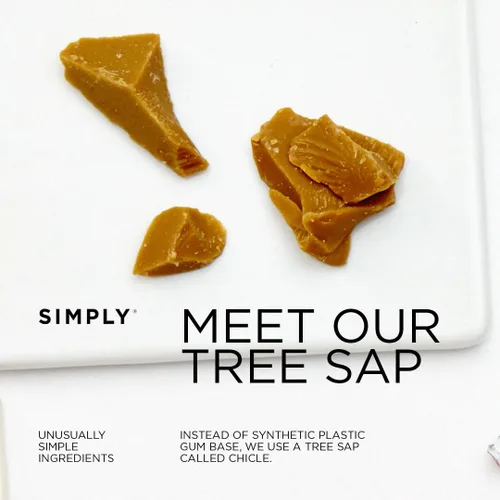 Vista 6 de SIMPLY Gum Canela, goma de mascar natural sin plástico, paquete de 6 (90 piezas) Vegano, Kosher, sin OGM, sin aspartamo y sin sorbitol