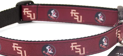 Vista 31 de Collar de Perro Universitario (Pequeño, Fuerza Aérea)