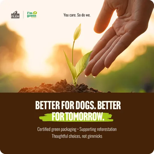 Vista 7 de Natural Farm Cold-Dried™ Bully Sticks de 6 pulgadas (5 unidades) - Masticables para perros sin olor, con alto contenido de proteínas, 100% carne