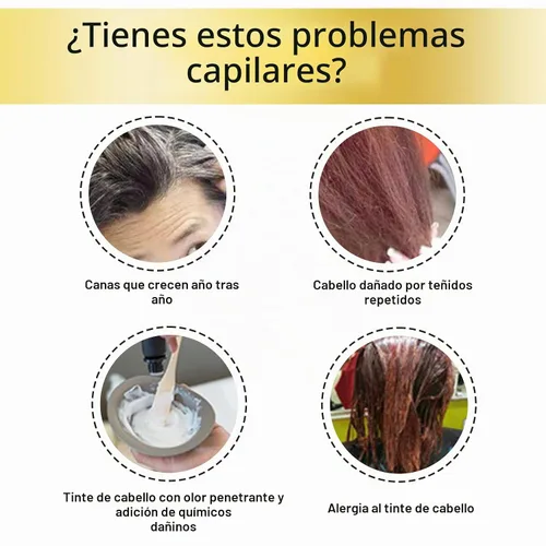 Vista 6 de Tinte de burbujas para el cabello, extracto natural de plantas puras para cabello gris, champú de tinte de burbujas (castaño castaño)