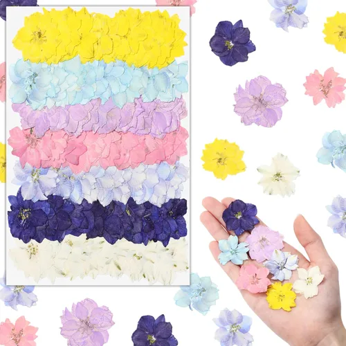 Vista 8 de Woanger 100 piezas de flores secas prensadas pequeñas flores secas de resina natural real, relleno de recortes para manualidades de resina