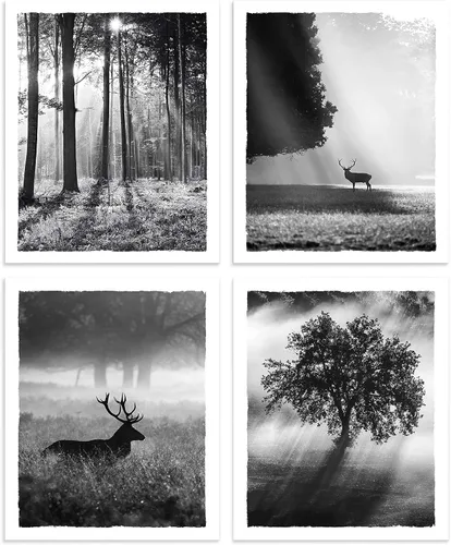 Vista 32 de Imágenes de paisajes de la naturaleza, arte para pared, bosque brumoso, árbol, montaña, animales salvajes, ciervos, lago, escena, obra de arte