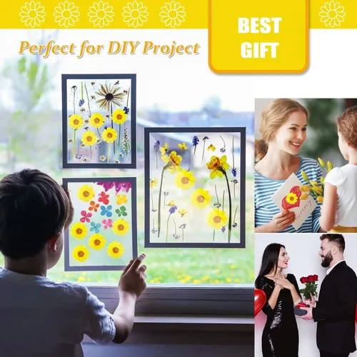 Vista 6 de 60 girasoles secos prensados amarillos para adornos de manualidades, flores secas naturales de 1.2 pulgadas, margarita grande para joyería