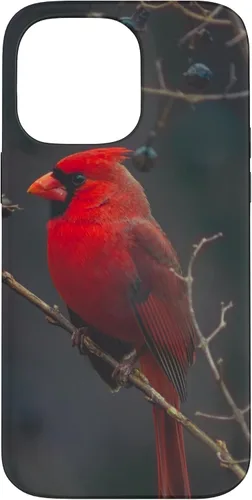 Vista 21 de Funda para iPhone 16 Cardinal Bird