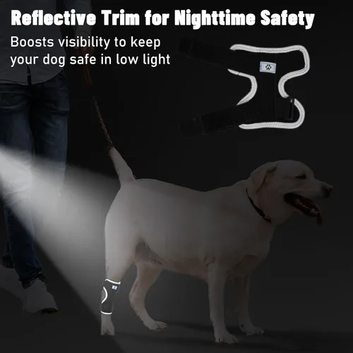 Vista 6 de Soportes para patas de perro para patas traseras y delanteras, soporte articular de perro y tobillo para patas traseras débiles con 2 tiras