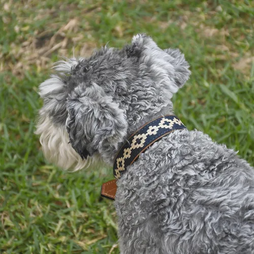 Vista 4 de GauchoLife Collar Polo de cuero para perro Guarda Pampa (Azul, XS)