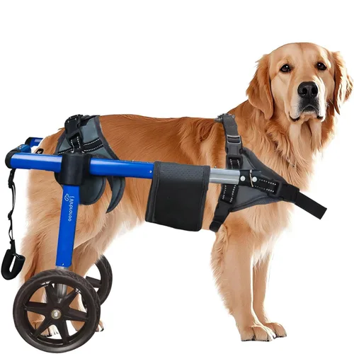 Vista 11 de Silla de ruedas para perro para patas traseras, silla de ruedas para perro con neumáticos todo terreno y rodamientos duraderos, silla de ruedas