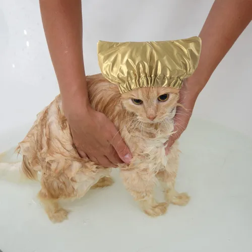 Vista 6 de Gorro de ducha para mascotas, impermeable, reutilizable, con correa ajustable, para gatos y perros, gorro de baño para gatos, perros, gatitos