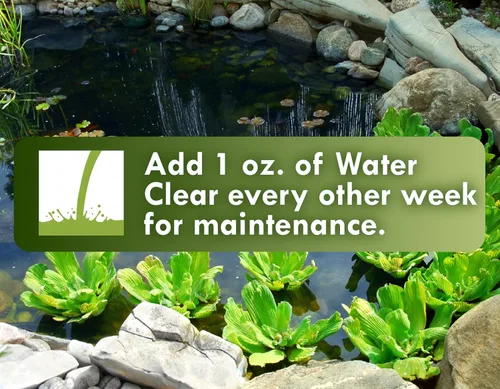 Vista 3 de KoiWorx Water Clear – Clarifica estanques decorativos y ornamentales, seguro para Koi – 1 cuarto de galón