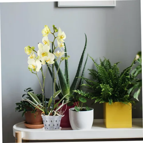 Vista 5 de Orchid Pots 2 Sets with Saucers, Plastic Root Control Planters
