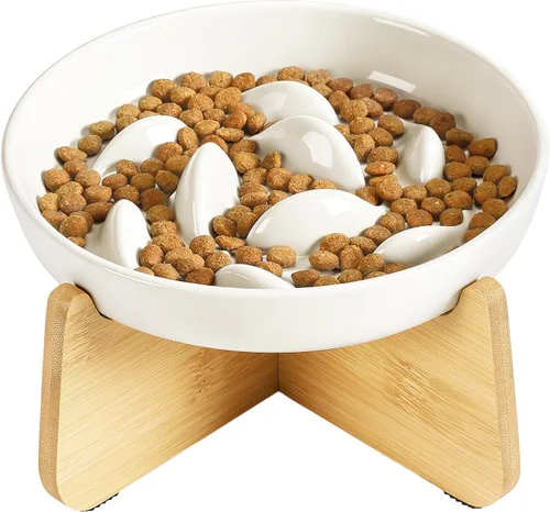 Vista 10 de PETTOM Alimentador lento Cat Bowl de cerámica elevada con soporte de bambú espina de pescado