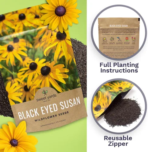 Vista 5 de Black Eyed Susan Seeds - Bolsa a granel de un cuarto de libra - Más de 400,000 semillas de flores silvestres polinizadas abiertas sin OMG