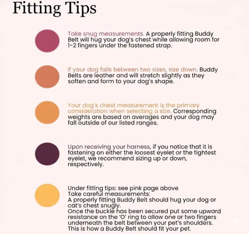Vista 4 de BUDDY BELT Arnés Pebble Grain Pink - Edición Premium (2.5)