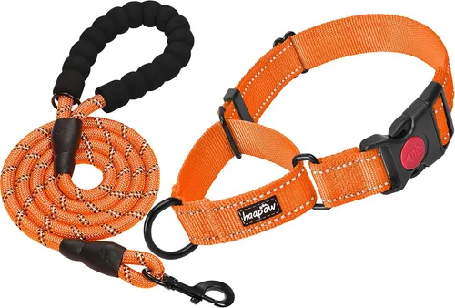Vista 10 de haapaw Martingale - Collar de perro con hebilla de liberación rápida reflectante para perros pequeños, medianos y grandes