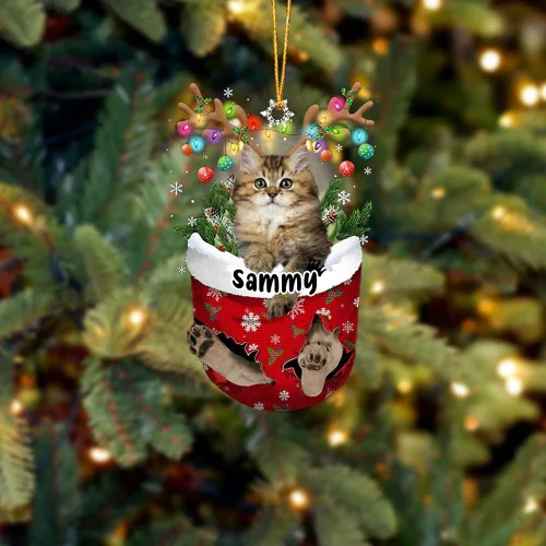 Vista 32 de Adorno personalizado de gato de rizo americano, adorno personalizado con nombre de mascota, colgante acrílico plano impreso en 2D, Papá Noel y gato