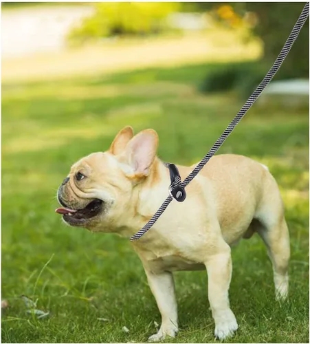 Vista 9 de Correa antideslizante de 8 pies para perro, correa de perro de cuerda de 1/3 pulgadas, correa pequeña ajustable sin tirones para cachorros, mascotas