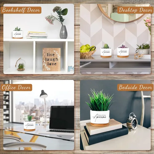 Vista 5 de Paquete de 12 mini macetas de cerámica con bandeja de bambú para decoración de escritorio para empleados, enfermeras, oficina, equipo, decoración