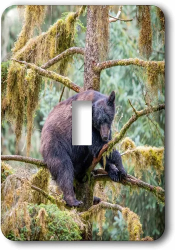 Vista 2 de 3dRose Black bear cub finds safety in a tree at Anan Creek. 2 plug outlet cover