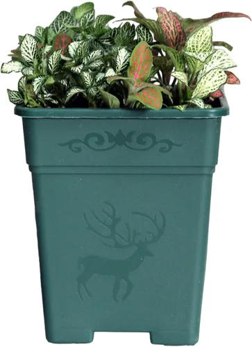 Vista 7 de Macetas cuadradas de plástico de 0.5 galones para plantas de interior y exterior, paquete de 10 con agujeros de drenaje, macetas de vivero de 5