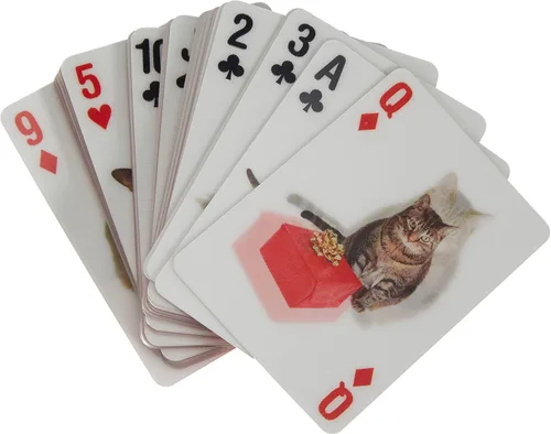 Vista 5 de Juego de cartas Kikkerland