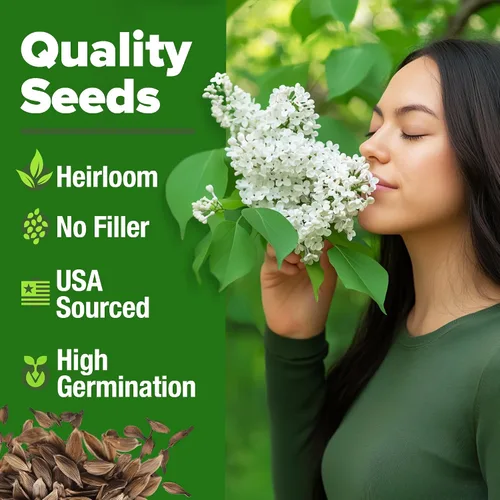 Vista 5 de HOME GROWN Flower Seed Trio - Más de 430 semillas de Estados Unidos sin OMG Lila blanca japonesa, calabazas Luffa y Gloria de la mañana Alta